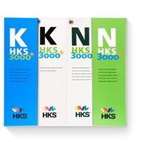 HKS K+N 3000+
